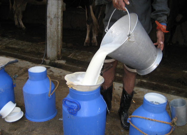 milk