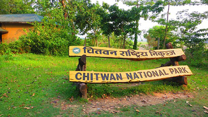chitawan