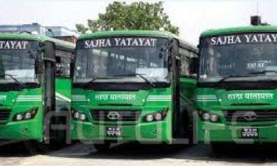 saja yatayata