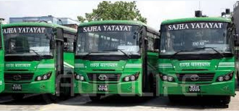 saja yatayata